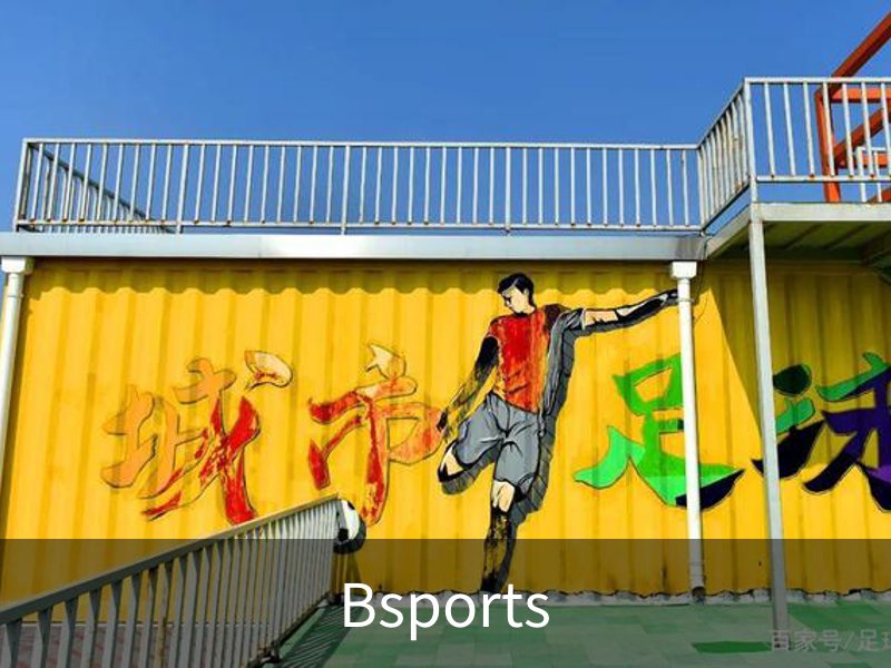 Bsports介绍